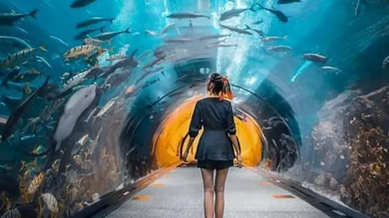 Burj Khalifa and Aquarium Tickets: One Combo from $87 — photo from the booking listing, Burj Khalifa, Dubai